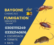 pest control fumigation cockroach deemak rats termite control